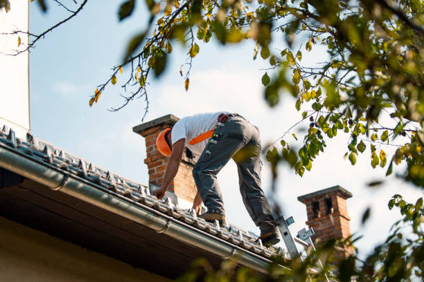 Best Roof Leak Repair  in Candler Mcafee, GA