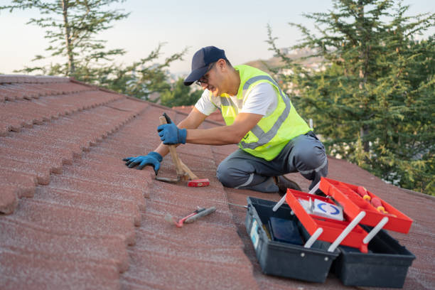 Best Gutter Installation and Roofing  in Candler Mcafee, GA